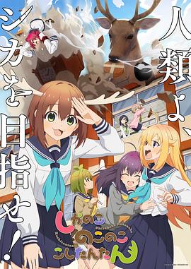 ppt无法插入视频